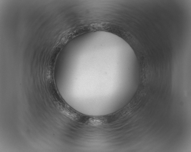 X0000076330706200610201705