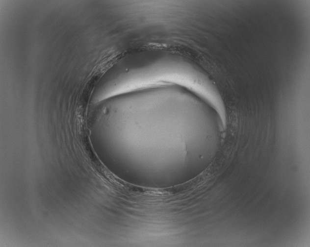 X0000076330707200610201705