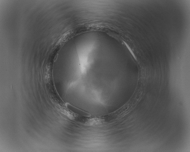 X0000076330708200610201705