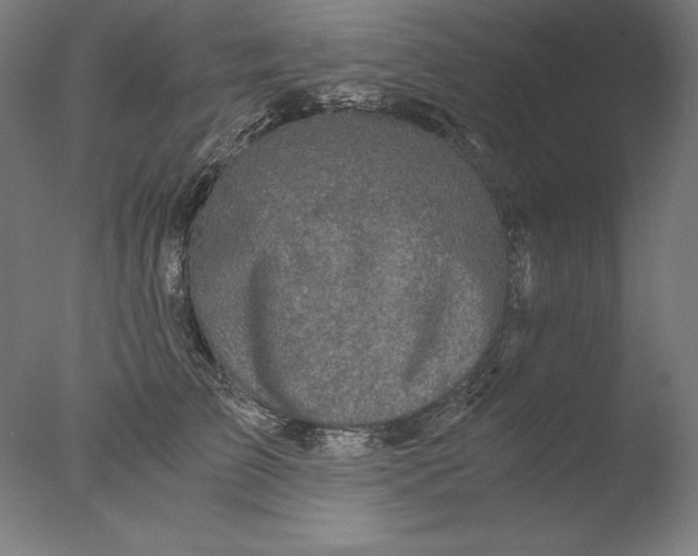 X0000076330709200610201705