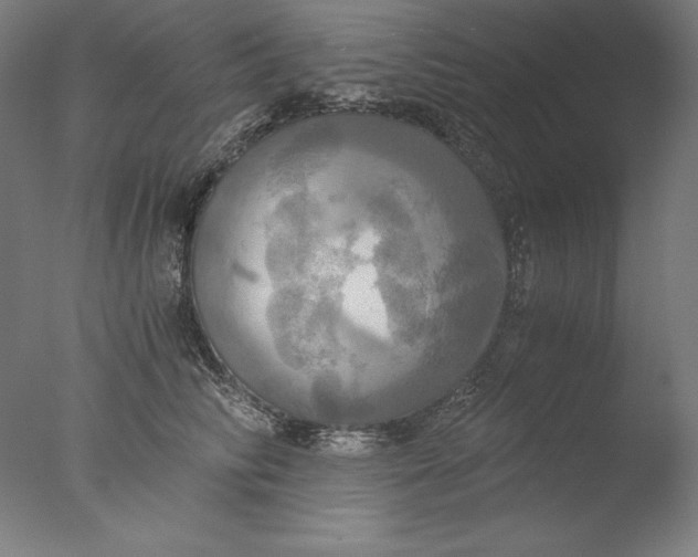 X0000076330710200610201705