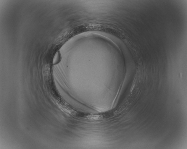 X0000076330711200610201705