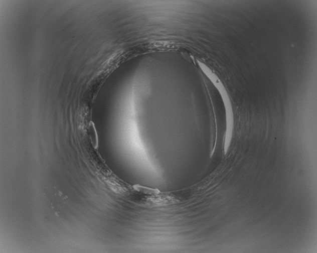 X0000076330712200610201705