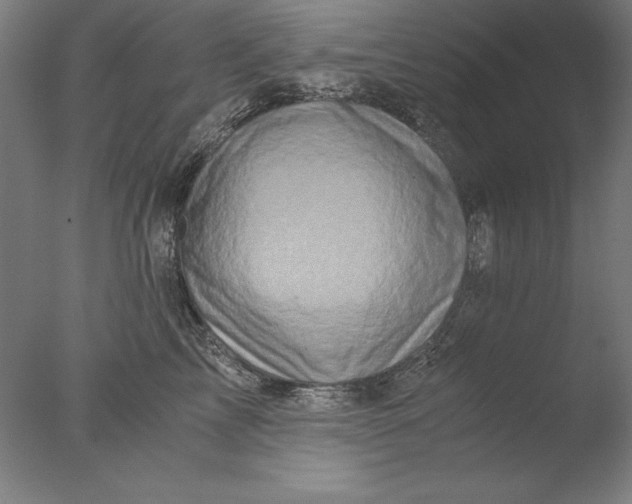 X0000076330713200610201705