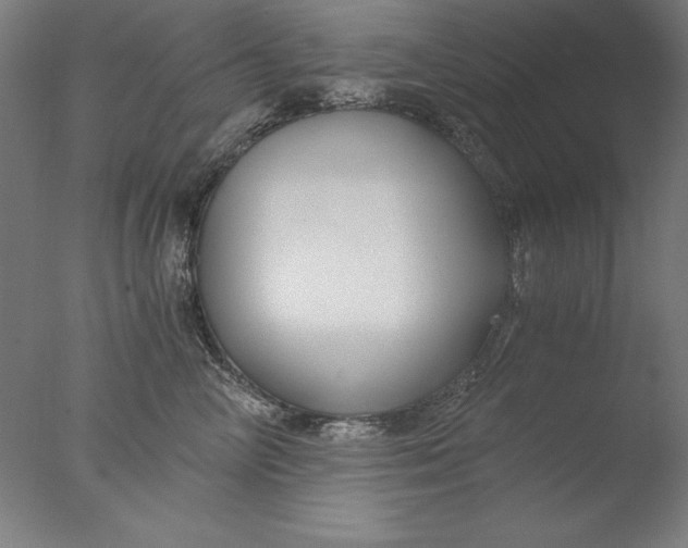 X0000076330714200610201705