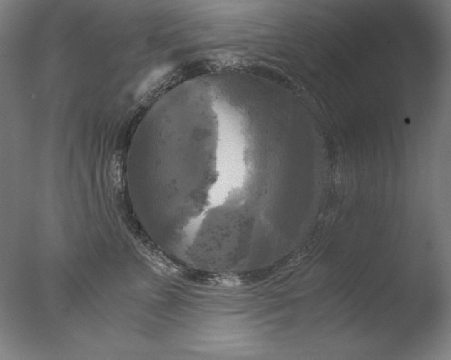 X0000076330715200610201705