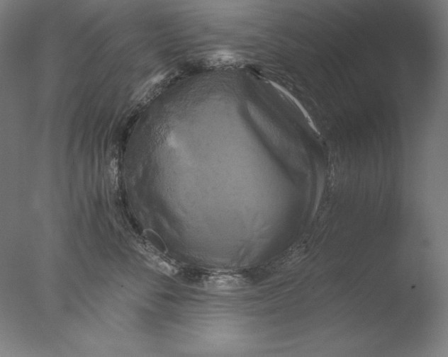 X0000076330716200610201705