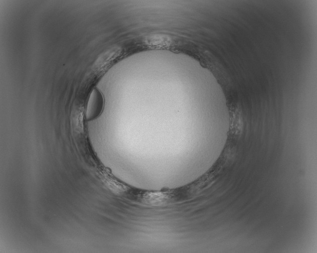 X0000076330717200610201705