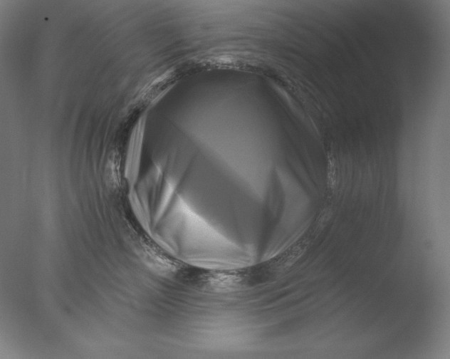 X0000076330718200610201705