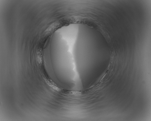 X0000076330719200610201704