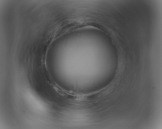 X0000076330720200610201704