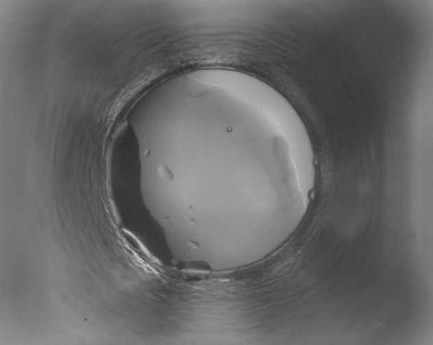 X0000076330721200610201704