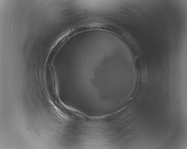 X0000076330722200610201704