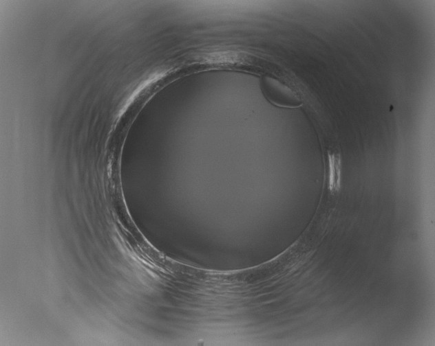 X0000076330723200610201704