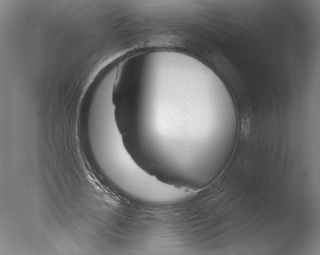 X0000076330724200610201704