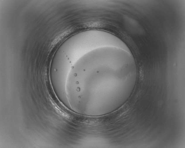 X0000076330725200610201704