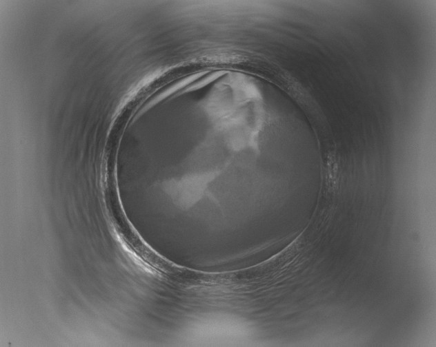 X0000076330726200610201704