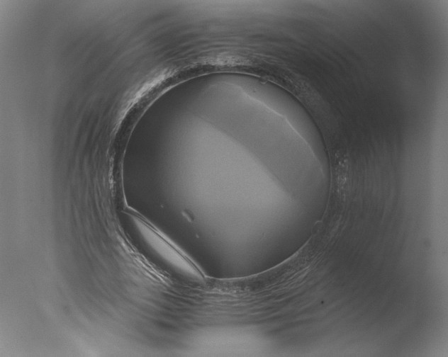 X0000076330727200610201704