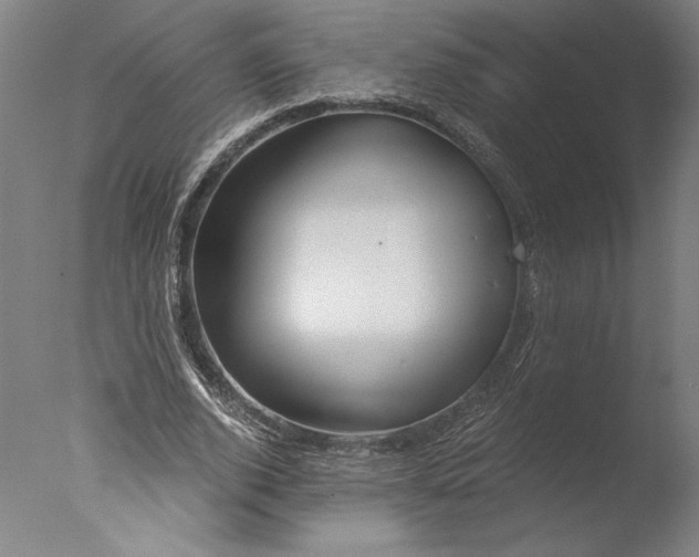 X0000076330728200610201704