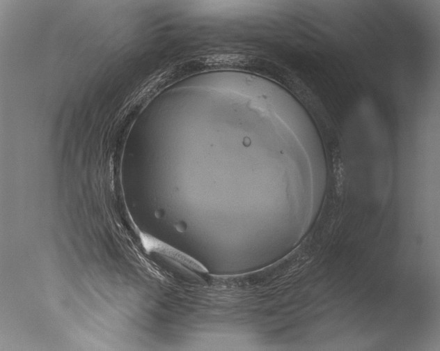 X0000076330729200610201704