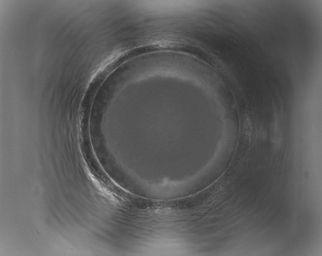 X0000076330730200610201704