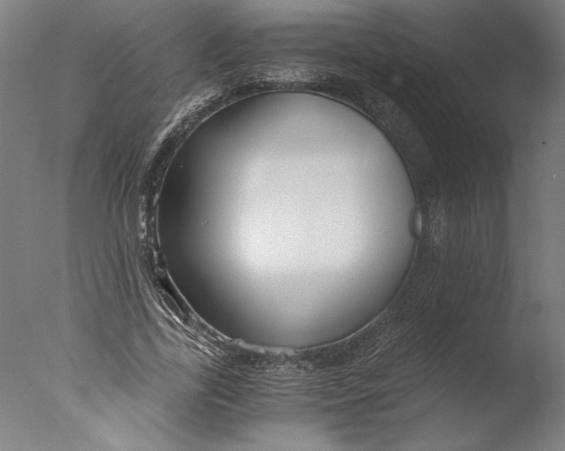 X0000076330731200610201704