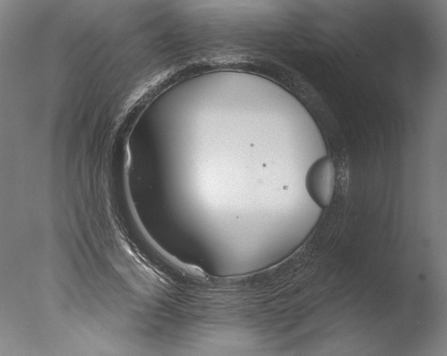 X0000076330732200610201704