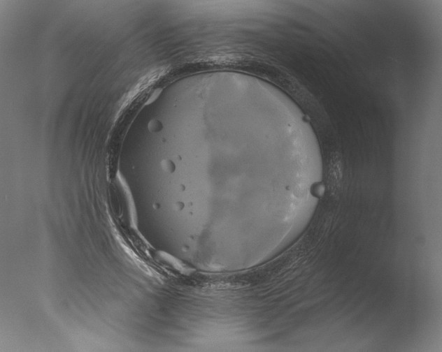 X0000076330734200610201704