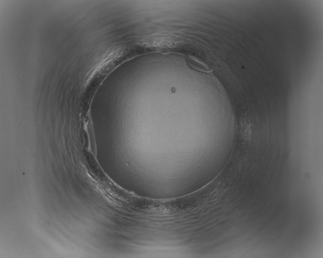 X0000076330735200610201704