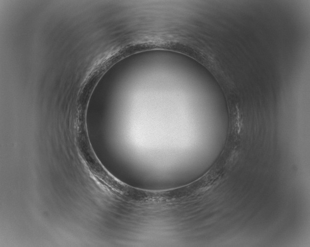 X0000076330736200610201704