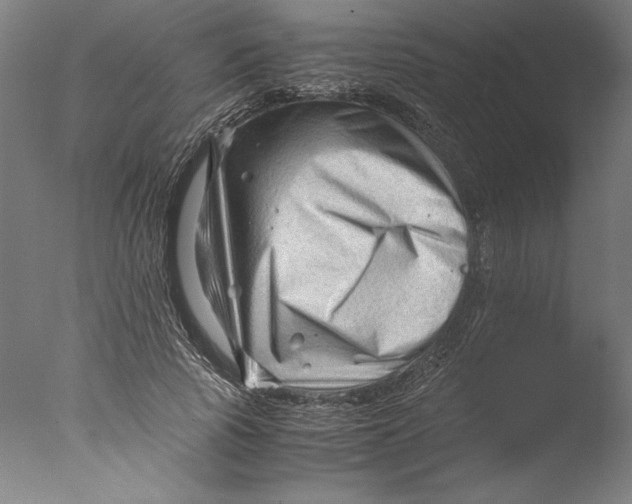 X0000076330737200610201704