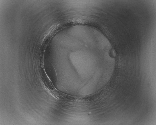 X0000076330738200610201704