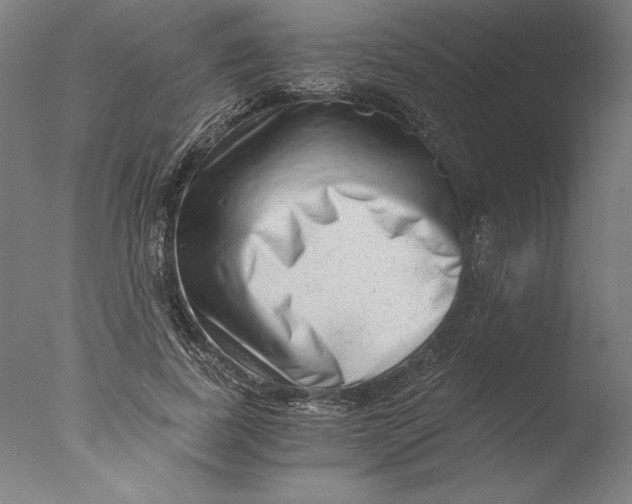 X0000076330739200610201704