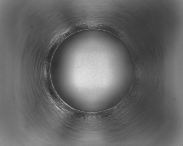 X0000076330740200610201704