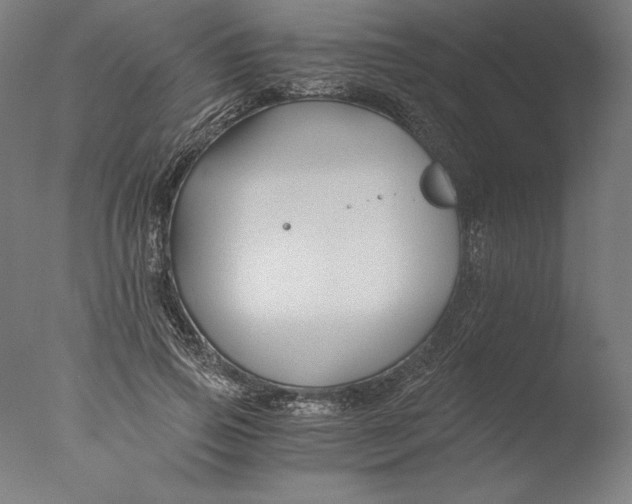 X0000076330741200610201704