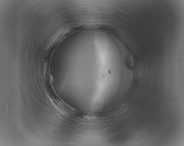 X0000076330742200610201704