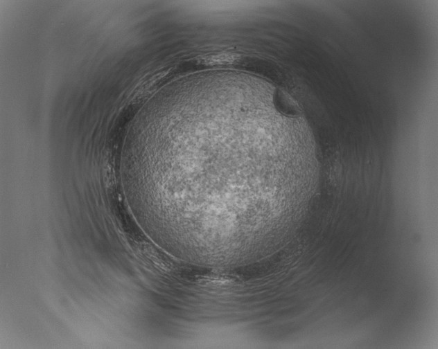 X0000076330743200610201704