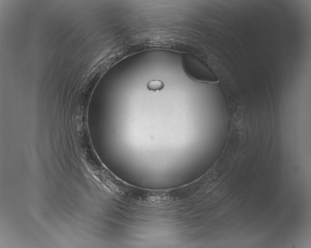 X0000076330744200610201704