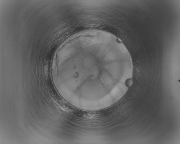 X0000076330745200610201704