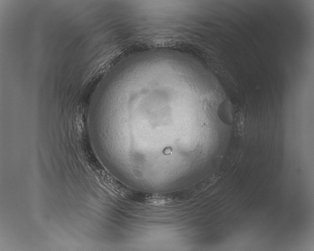 X0000076330746200610201704