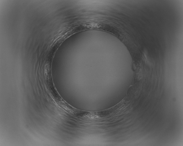 X0000076330747200610201704