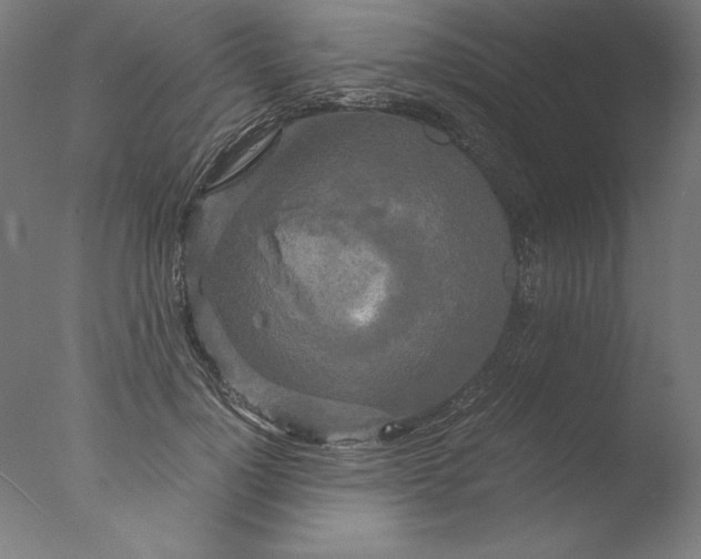 X0000076330748200610201704