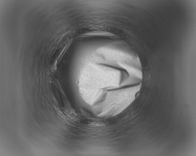 X0000076330749200610201704