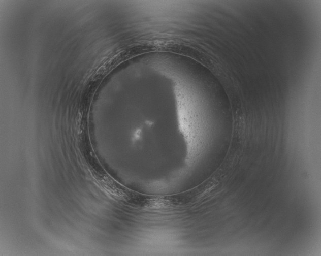 X0000076330750200610201704