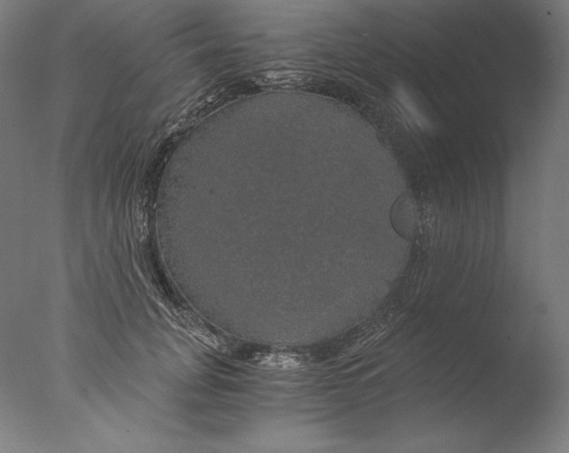 X0000076330751200610201704