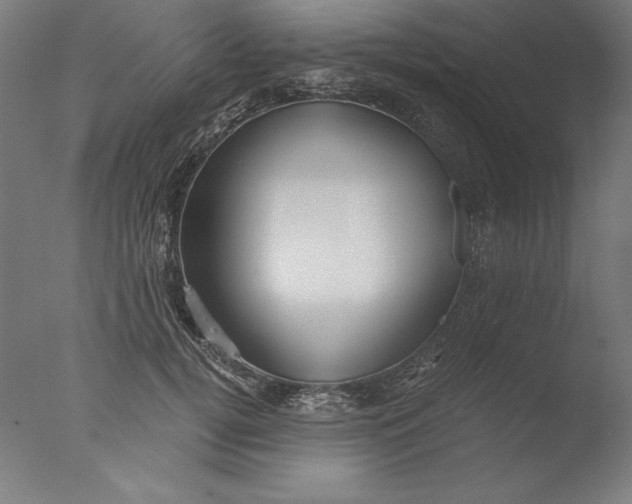 X0000076330752200610201704