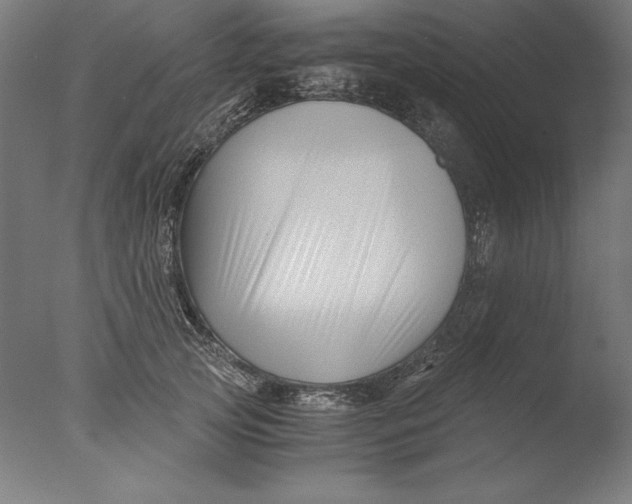 X0000076330753200610201704