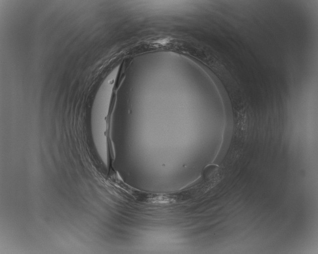 X0000076330754200610201704