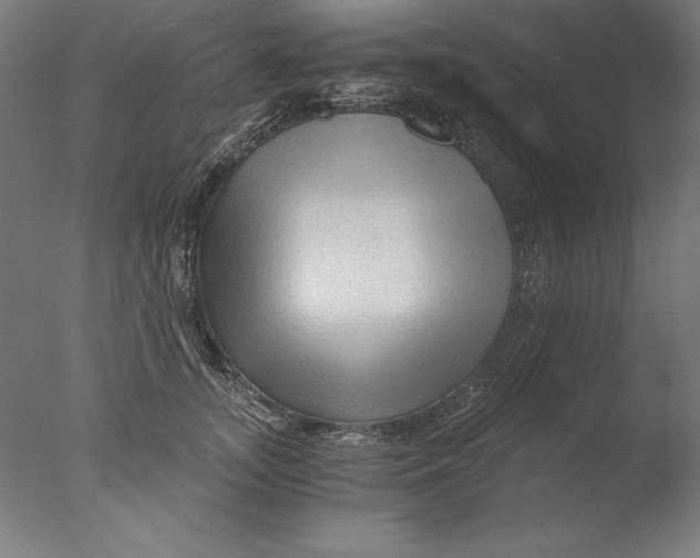 X0000076330755200610201704