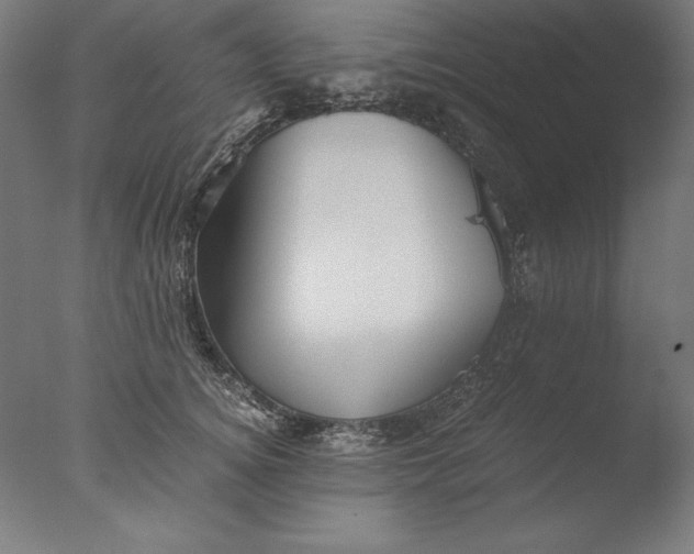 X0000076330756200610201704